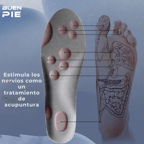 Pie Plano Pie De Pronador Pies Planos Zapatillas Pronador Hombre